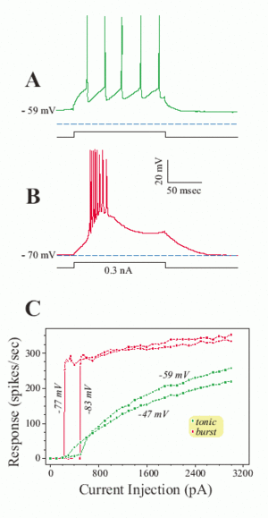 oscillationfig1